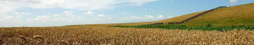 De zeedijk bij Sexbierum